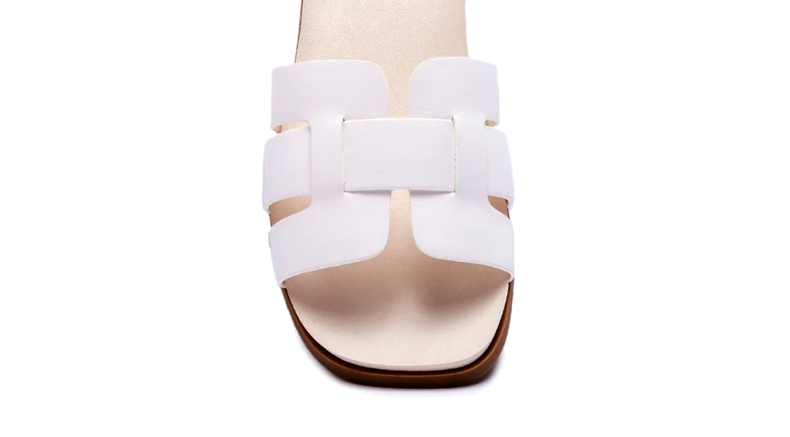 GEOMETRIC CUTOUT SLIDES