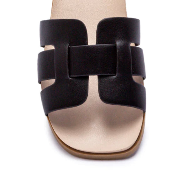 GEOMETRIC CUTOUT SLIDES